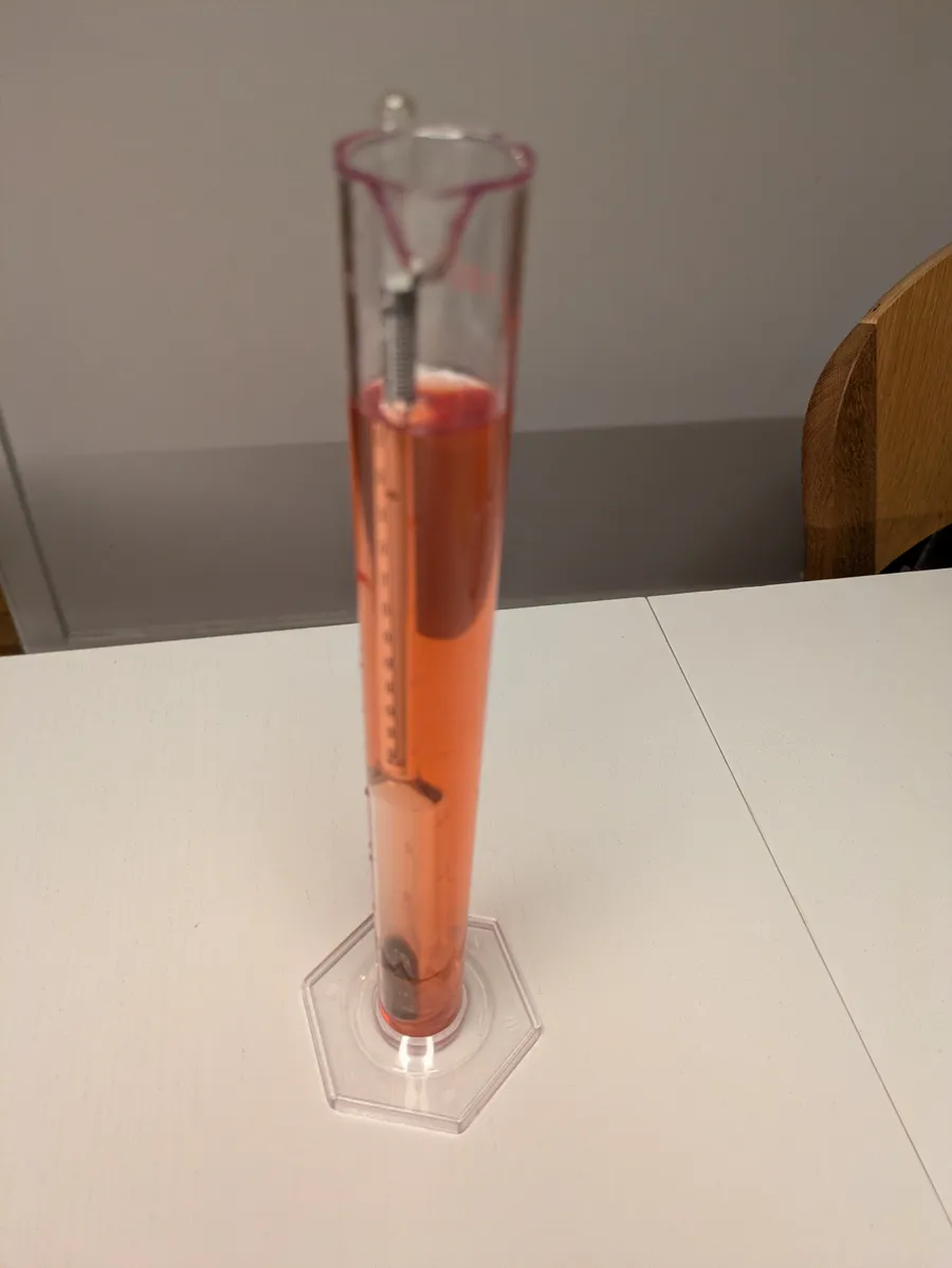 Mead gravity reading with a hydrometer.