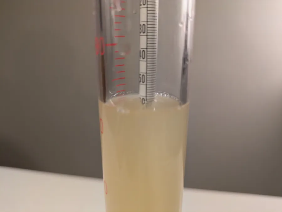 Oechsle reading of mead at 57.