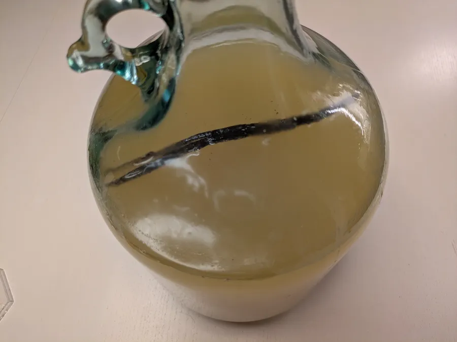 A vanila bean floting on fermenting kilju mead in a demijhon container.