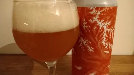 A glas and can with FJORD by North Exposure Brewing Co