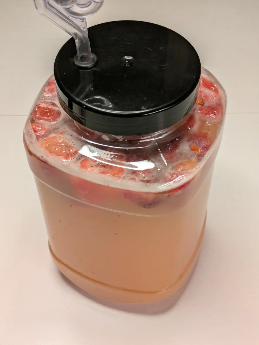 Fermentation bucket with lid with airlock fermenting mead and strawberries.