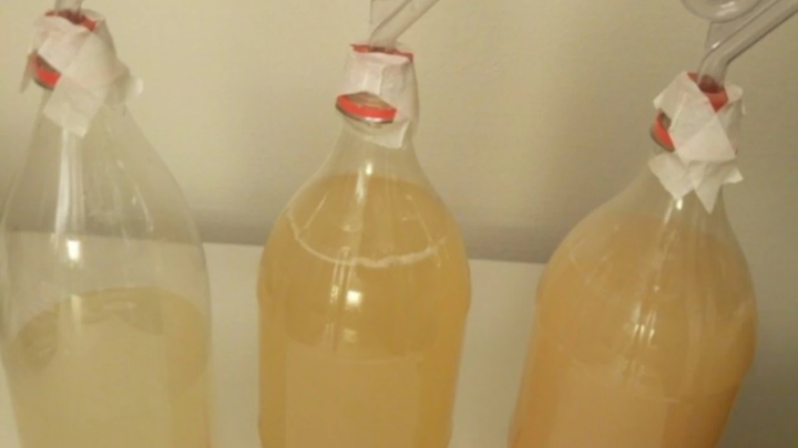 3 mead brewing PET-bottles
