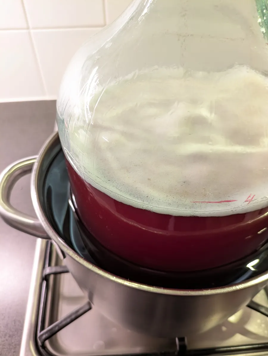 Pasteurization of mango blackberries mead