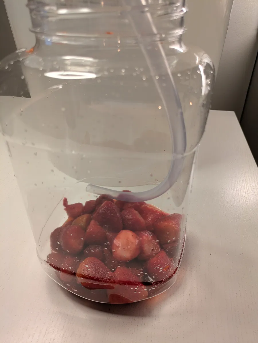 Strawberries in a fermentation bucket.