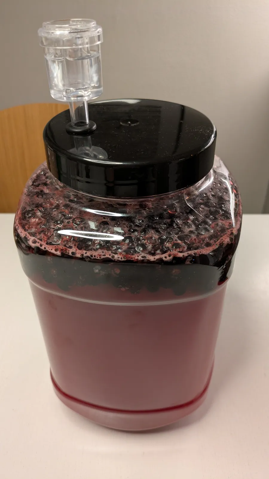 Cinnamon and blueberry mead fermenting.